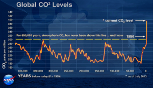 Cosa vuoi che sia la sparizione della foresta europea... forse questo storico del livello di CO2 in atmosfera negli ultimi 400.000 anni può rendere l'idea