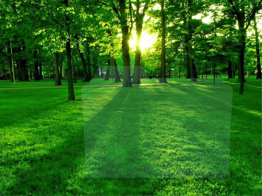 verde calma armonia serenità