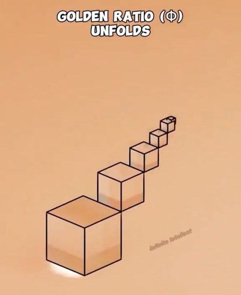 La Sequenza di Fibonacci e la Sezione Aurea